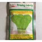 HẠT GIỐNG CẢI XANH MỠ TRANG NÔNG