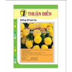 HẠT GIỐNG VẠN THỌ MÀU VÀNG CHANH F1 440