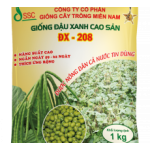 Hạt Giống Đậu xanh CX-208
