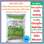 SIÊU BÉO MẬP Giúp cây quang hợp nhanh, xanh lá, cứng dọc, bền cây, nở bụi, cứng lá, to củ, đặc biệt dùng cho cây chè