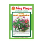 Hoa dừa cạn đứng nhiều màu ( số 46 )