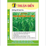 HẠT GIỐNG RAU MUỐNG LÁ TRE THUẬN ĐIỀN