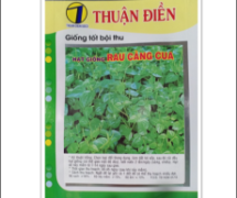 Đơn vị chuyên cung cấp hạt giống chất lượng giá rẻ Bình Tân