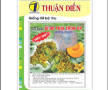 Tìm đại lý phân phối hạt giống giá sỉ uy tín, chất lượng tốt