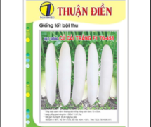 Đại lý phân phối hạt giống rau ăn củ uy tín bạn không nên bỏ qua