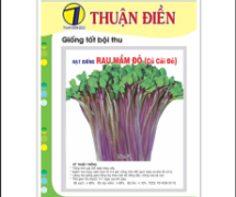 Nguồn bán sỉ hạt giống rau mầm chất lượng giá rẻ hiện nay