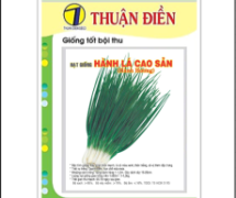 Tìm nguồn hàng hạt giống rau gia vị chất lượng uy tín TPHCM