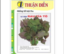Địa chỉ nhà phân phối các loại hạt giống uy tín hàng đầu hiện nay