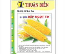 Tìm hiểu ngay đơn vị cung cấp các loại hạt giống chất lượng