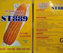 Khám phá ngay nơi cung cấp hạt giống bắp năng suất cao