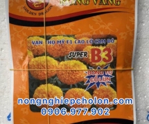 Ở đâu bán hạt giống hoa vạn thọ giá rẻ - Hạt tốt dễ nảy mầm