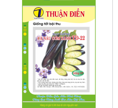 Hạt Giống Cà Nâu Cơm Xanh Thuận Điền 22