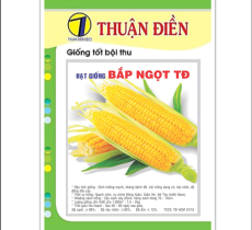Hạt Giống Bắp Ngọt ( gói 10 gam )