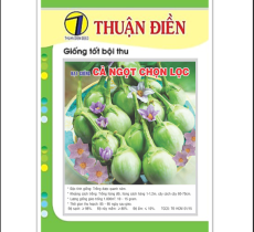 Hạt Giống Cà Ngọt Chọn Lọc ( gói 1 gam )