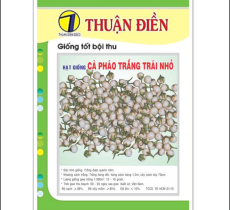 Hạt Giống Cà Pháo Trắng Trái Nhỏ Thuận Điền