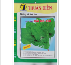HẠT GIỐNG CẢI BÓ XÔI CHỊU NHIỆT THUẬN ĐIỀN