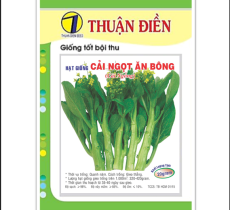 HẠT GIỐNG CẢI NGỌT BÔNG (CẢI NGỒNG)
