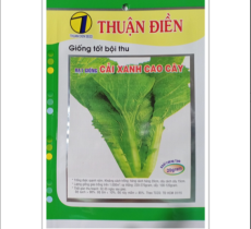 HẠT GIỐNG CẢI XANH CAO CÂY (HONGKONG) THUẬN ĐIỀN