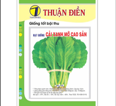 CẢI XANH MỠ CAO SẢN THUẬN ĐIỀN