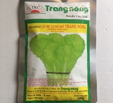 HẠT GIỐNG CẢI XANH MỠ TRANG NÔNG