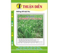 HẠT GIỐNG CỎ GHINE (CỎ SẢ LÁ LỚN) THUẬN ĐIỀN