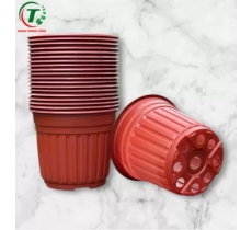 CHẬU NHỰA TÂN TƯỜNG KHANG