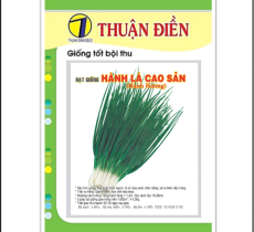 HẠT GIỐNG HÀNH LÁ CAO SẢN GỐC TRẮNG THUẬN ĐIỀN