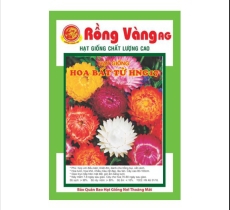Hoa Bất Tử nhiều màu ( MS 17 )