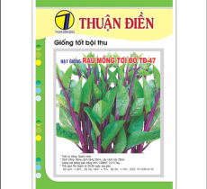 HẠT GIỐNG MỒNG TƠI ĐỎ TĐ - 47