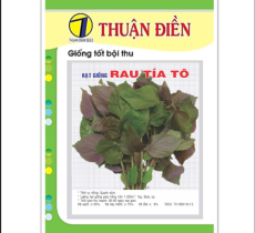 HẠT GIỐNG TÍA TÔ - HẠT GIỐNG THUẬN ĐIỀN gói 2 gam