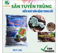 SĂN TUYẾN TRÙNG-MEN VI SINH TRICHODERMA CHUYÊN KIỂM SOÁT NẤM BỆNH, TUYẾN TRÙNG TRONG ĐẤT