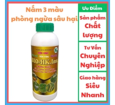 NẤM 3 MÀU chai 1L/Hoàng Kim insect/ Phòng Ngừa Tuyến Trùng Sâu Tơ, Sâu vẽ bùa, rệp sáp